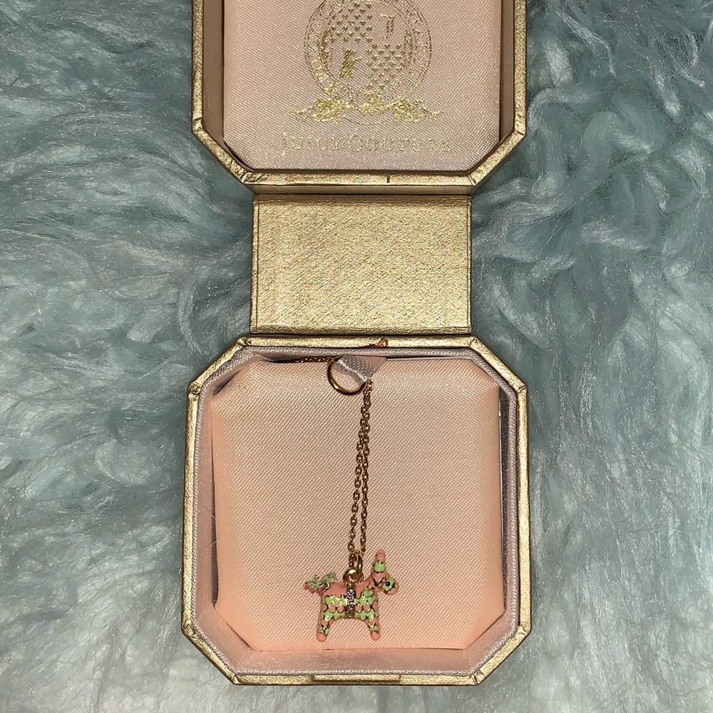 Limited Edition Juicy Couture Piñata Necklace